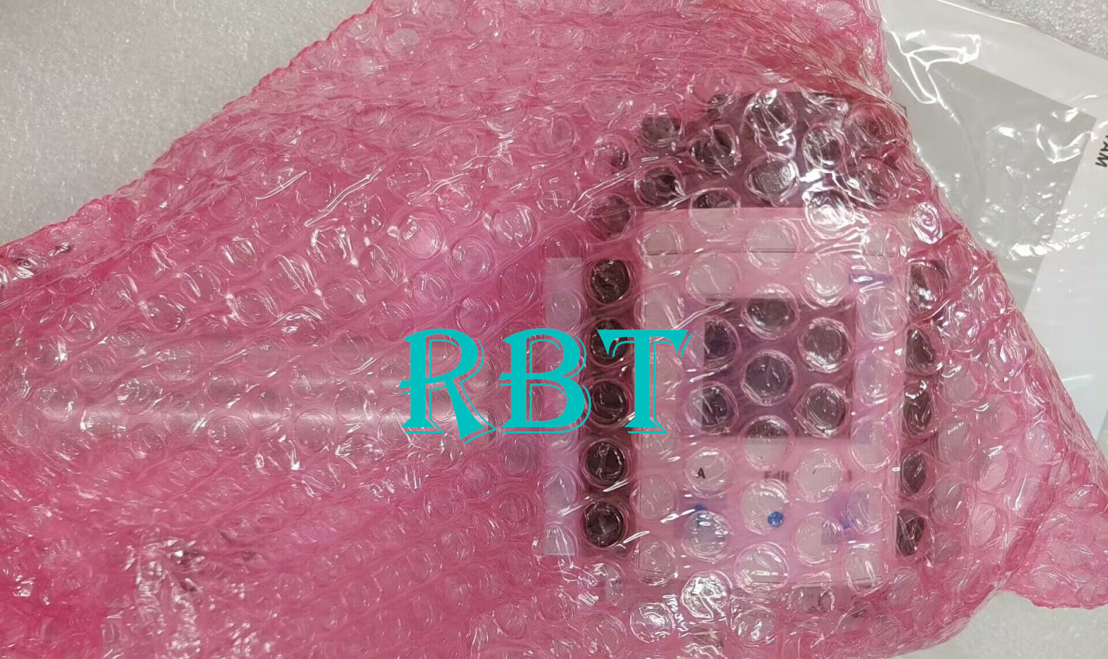 FESTO SFAM-62-3000L-TG12-2SA-M12-5A valve brand new