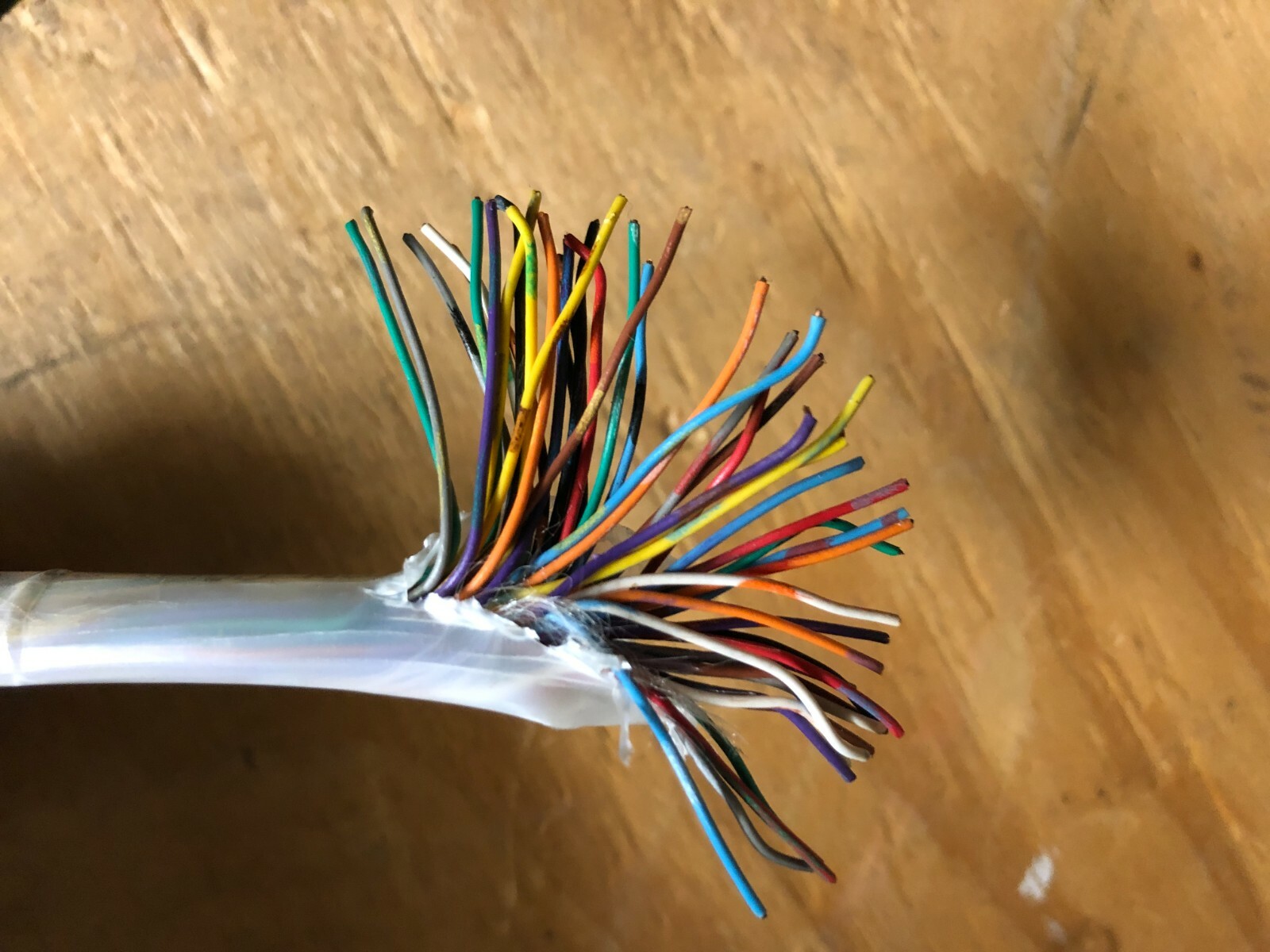 25′ Comtran Corp. Cable 1800241 25 Pair 24 AWG Wire