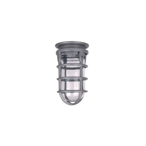Red Dot VAG-02-C, 200 W, Ceiling Mount, Incandescent Vapor Tight Fixture, 1pc