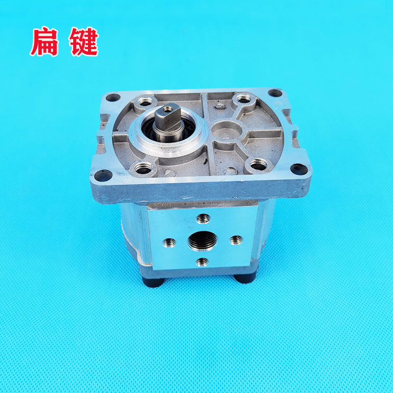 Gear Pump CBN-F306/F314/F316/F320/F325 Hydraulic Oil Gear Pump Spline Flat Key
