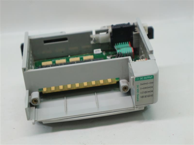 Allen-Bradley Output Module w/o Terminal w/ 1769-ECR Right End Cap/Terminator